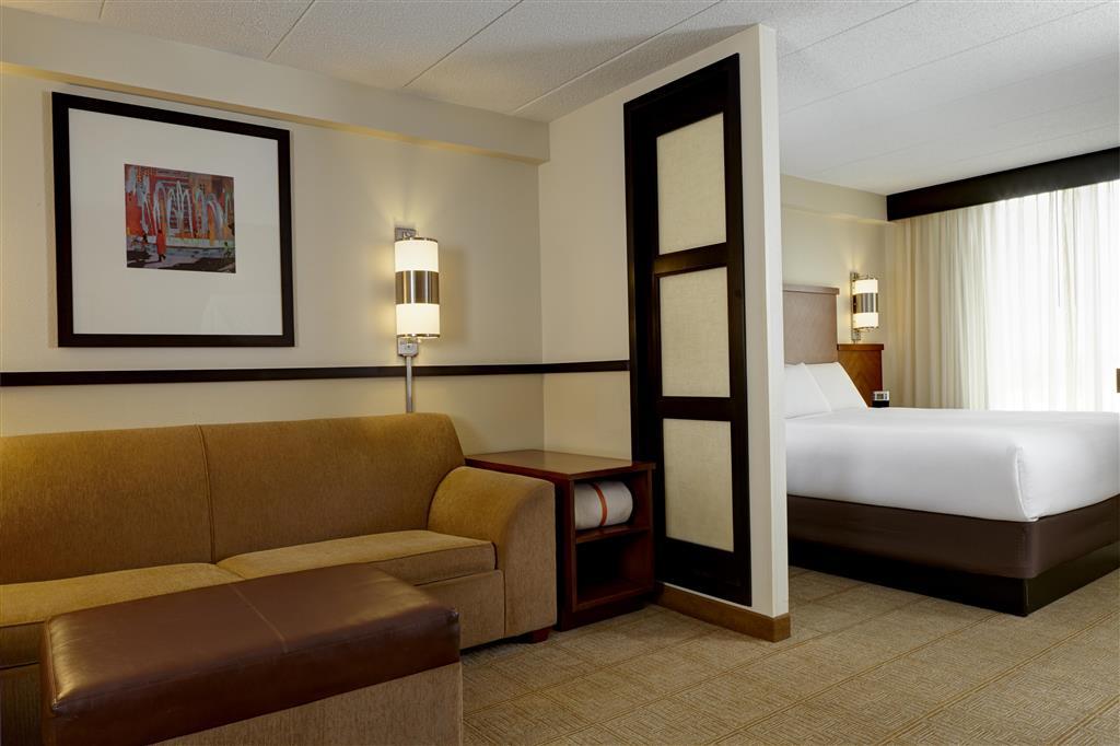 Hyatt Place Atlanta Downtown Værelse billede